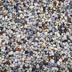 ザリガニの脱皮と砂の関係について